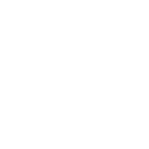 professioneller Fotograf