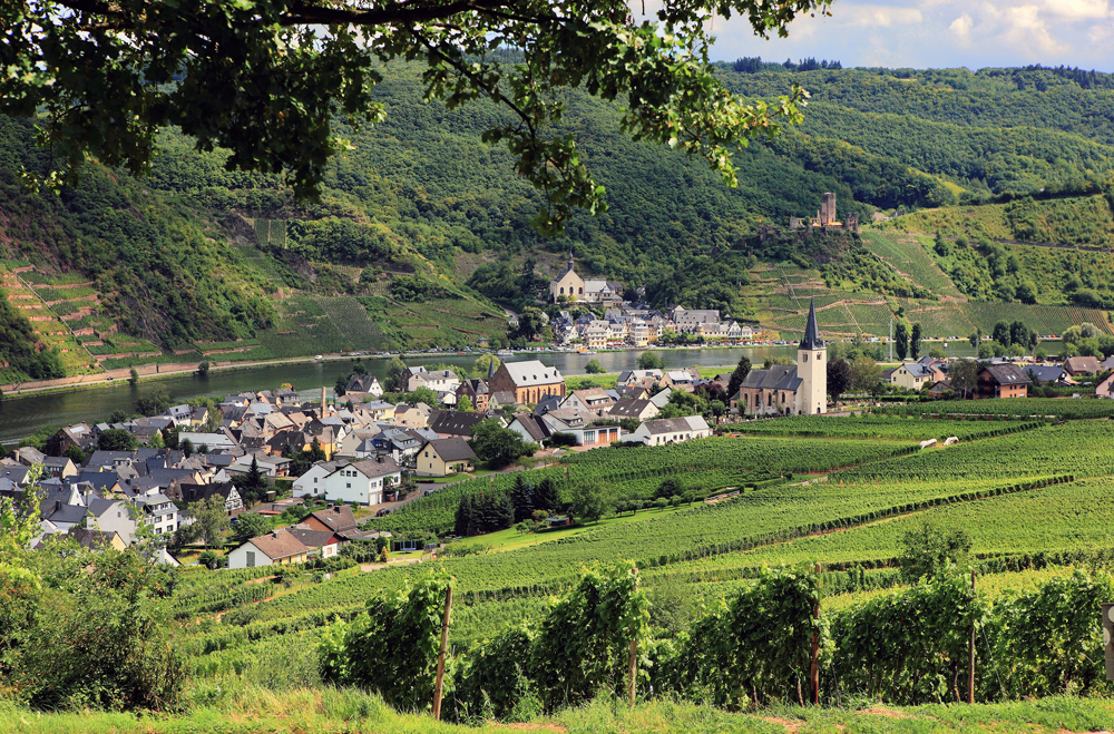 Region Mosel Region Mosel